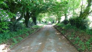 The Weaver's Cottage - Dungannon - 9