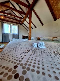 GREEN MOON Breza - Breza - 5