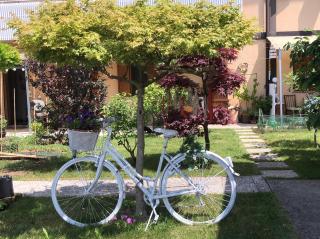 Sensory Garden - San Daniele del Friuli - 0