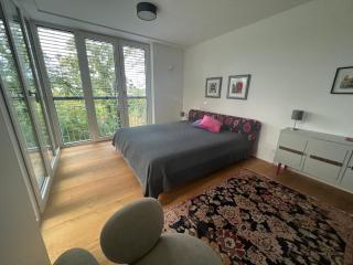 Luxuswohnung in Villa mit fantastischem Blick - Karlsruhe - 1