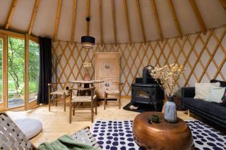 Dacza Puchacza Glamping - Stare Osieczno - 2