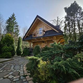 Domek góralski z sauną i jacuzzi - Kościelisko - 9