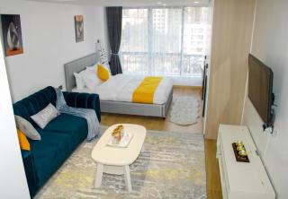 Executive Studio Apartment in Kilimani, Nairobi - 5