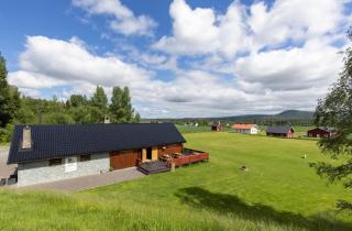 Skogcamping - Bjørnstad - 8