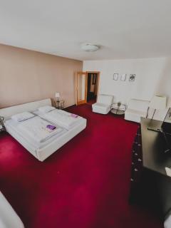 hotel Florian Sedlčany - 1