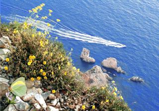 Conero Holiday Home - "Il Girasole" - 1