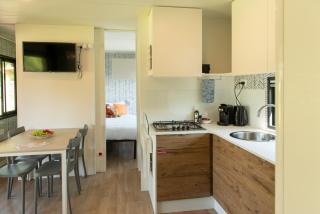 Estivo Premium Mobile homes on Holidaypark TerSpegelt - 3
