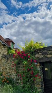 Gîte familial au calme au coeur du Périgord Vert - Jumilhac-le-Grand - 8