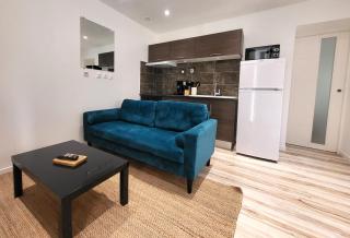 Appart T2 plain-pied Hypercentre - Le Puy-en-Velay - 8
