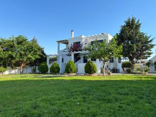 Liostasi Houses - Skiros - 8