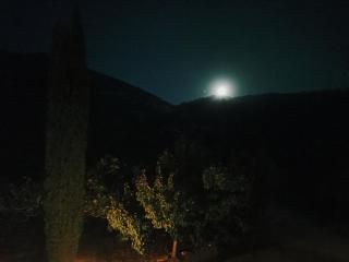 Glamping Adonis - Paphos - 3