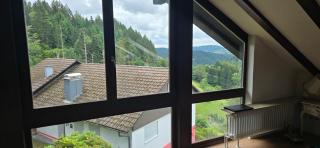 Wohnung im Schwarzwald mit Panorama Blick - Kleines Wiesental - 2
