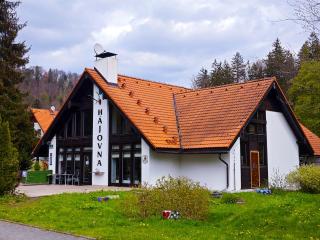 Hotel Bazant - Karlovy Vary - 3