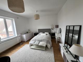 Domaine des hydrangeas - 1