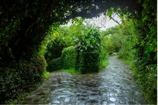 Buhanga Eco Lodge - 1