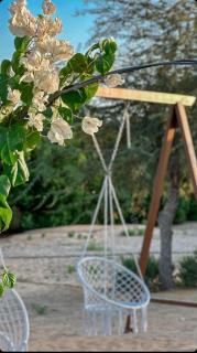 Damas Resort - Mezairaa - 8