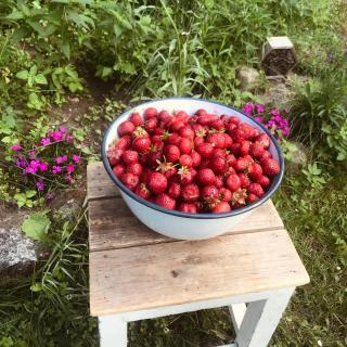 Auszeit auf dem Land im Forsthaus Hohe Heide - 5