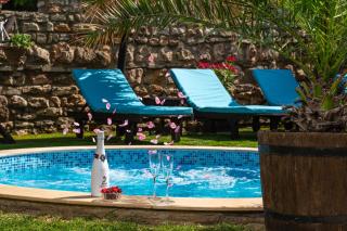 Villa Komitata-Pool and Jacuzzi - 6