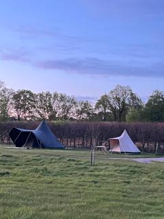 Erve Zonnehoeve Minicamping en Wijngaard - Vorden - 1