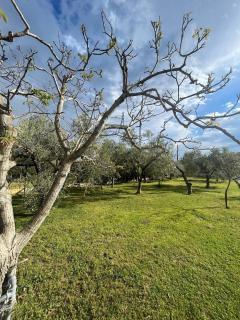 Ktima Georgiadi - Kavala - 3