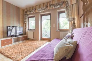 Apartament Bystry Zakopane - Zakopane - 3