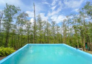 Pine Encamp with Pool by Voye Homes - Attappādi - 1
