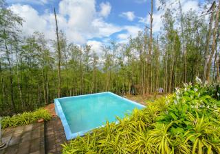 Pine Encamp with Pool by Voye Homes - Attappādi - 9