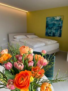 Seeblick Appartements Henle - Bregenz - 1