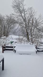 Mikes Fewo - Braunlage - 6