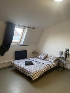 Appartement Cosy le Bonduelle 4 - Anzin - 0