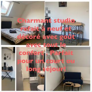 Appartement Cosy le Bonduelle 4 - Anzin - 1