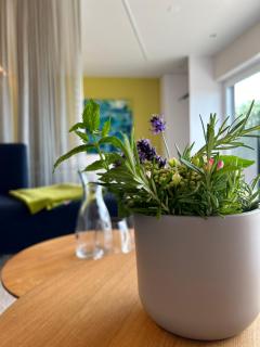 Seeblick Appartements Henle - 2