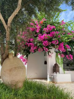 Dar Angi - Kelibia - 2