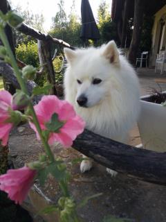 Małopolskie Swojskie - 3