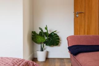 Zee homes W6 - Londra - 7