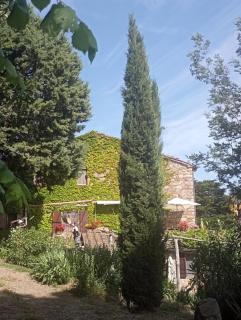 Casa MarJù - Montemassi - 5