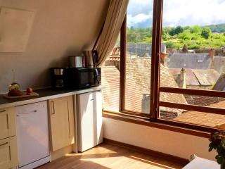 Appartement la Belle Vue Panoramique - Sarlat-la-Canéda - 2