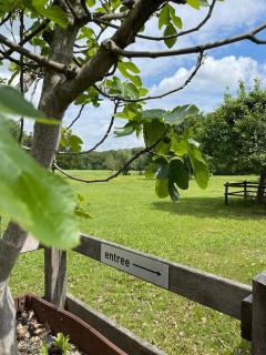 BB de Marshoek - Dalfsen - 3