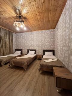 Cozy House with Swimming Pool near city center - Gabala - 6