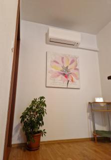 Apartman Seka - 4