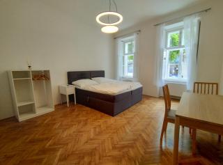 Villa Jahn - Baden - 0