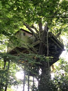 Les Noctam'bulles - Cabanes dans les arbres - Saint-Pierre-Azif - 8
