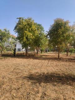 SARISKA Van Farm - Tehla - 6