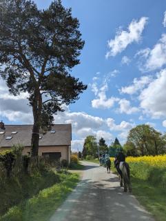 Un cadre fleuri - Cardroc - 6