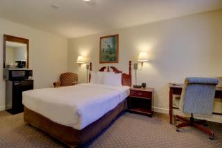 Senator Inn & Spa - 5