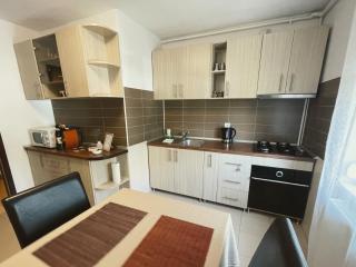 Modern Apartment with Self Check-In - Timişoara - 1