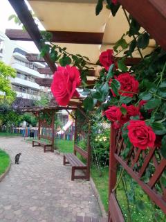 Grand Kamelia Sunny Beach - Sunny Beach - 1