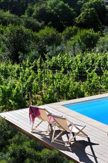 Quinta da Aldeia Nova - 2