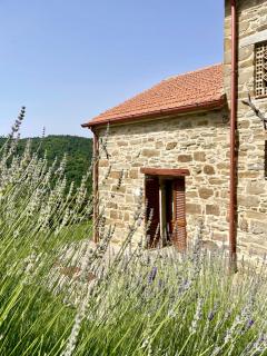 Locanda del Viandante - Valle Apartments & Pool - Anghiari - 7