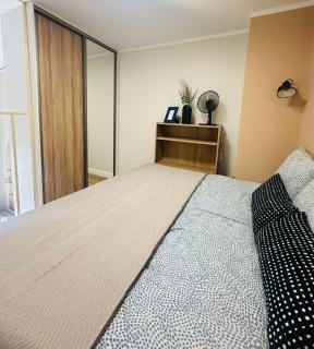 LOFTY NAD WARTĄ Apartament FREE PARKING - Poznań - 9